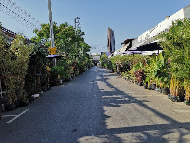 Atmosphere inside Chatuchak plant and flower market (1)