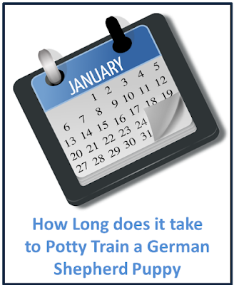 how long does it take to potty train a german shepherd puppy
