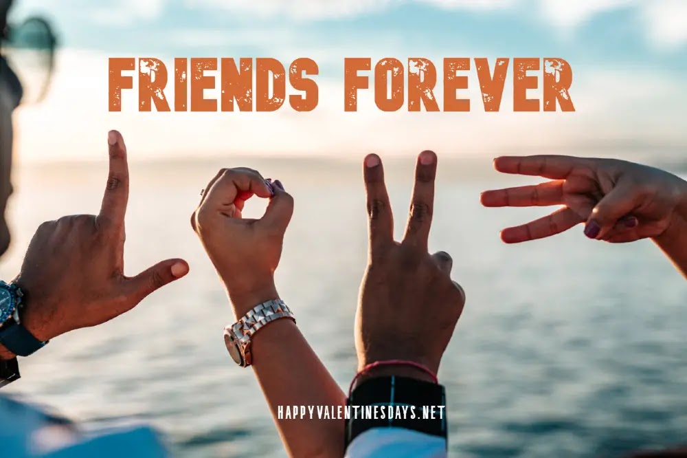 55 Amazing Best Friends Images For Whatsapp Dp In Hd Free Download