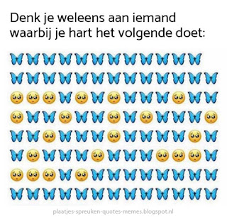 liefde meme