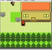 pokemon dark graystone screenshot 3
