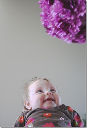 Eily loves the purple balls 003