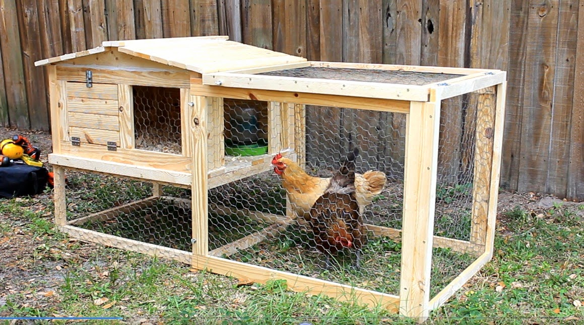 Simply Easy DIY: DIY: Small Backyard Chicken Coop