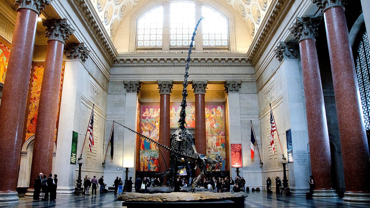 Museum - Museums Of History