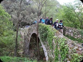 DSC05908