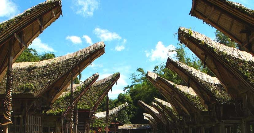  Taman  Bambu  Nusantara Atap dari  Bambu  Belah di Tongkonan 