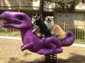 Cute dogs - part 6 (50 pics), two dogs ride dinosaur