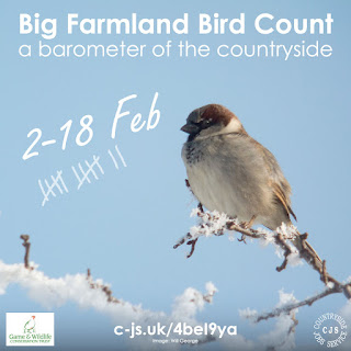 a sparrow fluffed up on a snow covered branch in a bright blue sky. Text reads: Big Farmland Bird Count - a barometer of the countryside