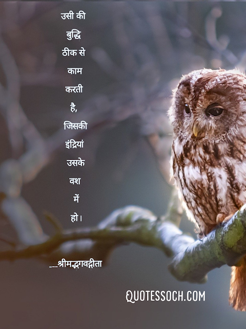 हिंदी सुविचार