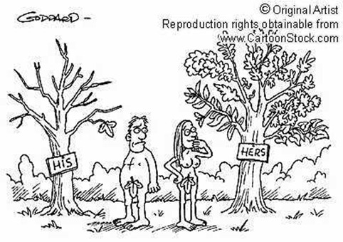 Humor grafico religioso (10)