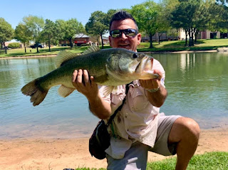 Largemouth Bass, Bass on the fly, TFFF Member Bragging Board, Texas Fly Fishing, Fly Fishing Texas