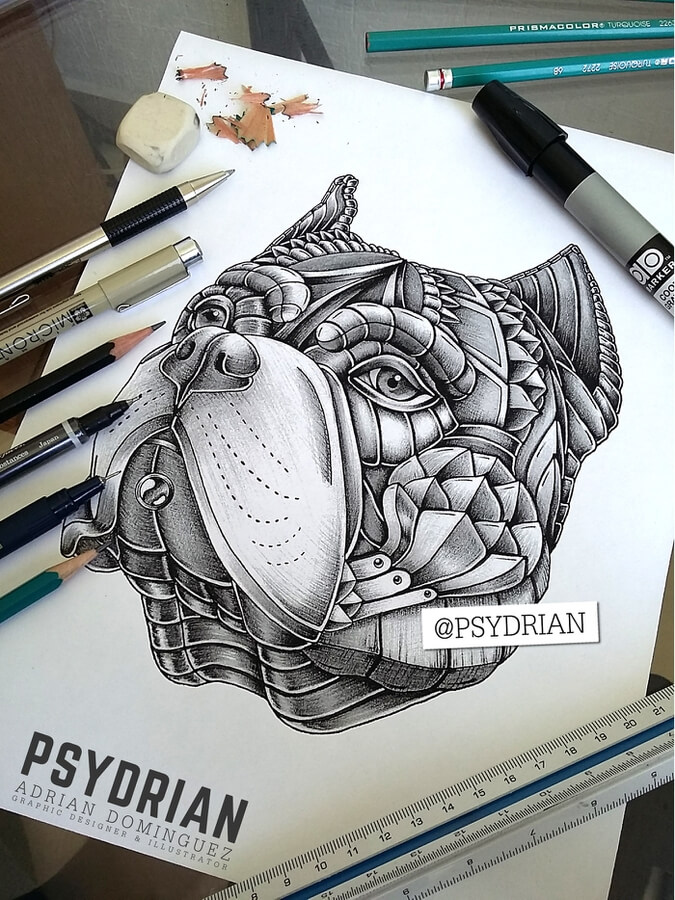 05-American-Bulldog-Ink-Drawings-Psydrian-www-designstack-co