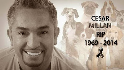 No ha muerto el encantador de perros Cesar Millán