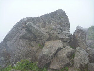 黒ボコ岩