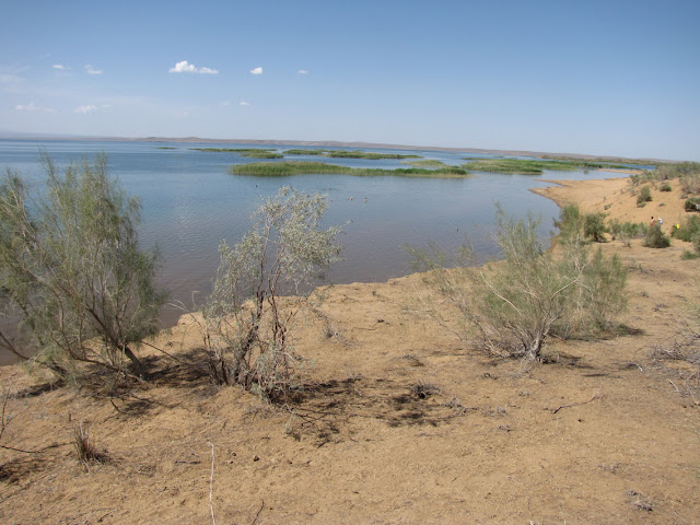 Uzbekistán, lago Aydarkul