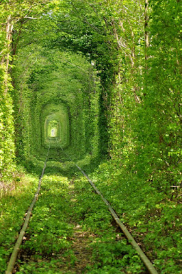 Tunnel-of-Love-Kleven-Ukraine