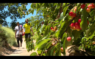 El Valle del Jerte, protagonista de "80 cm"