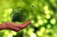 une image sur le thème de l' écologie