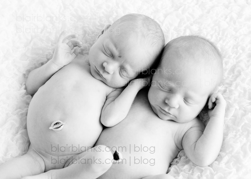 twin baby photographer Baltimore