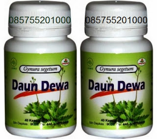 DAUN DEWA KAPSUL | DAUN DEWA | KAPSUL DAUN DEWA | DAUN DEWA MURAH | DAUN DEWA SURABAYA | DAUN DEWA SIDOARJO | DAUN DEWA JAKARTA | JUAL DAUN DEWA | AGEN DAUN DEWA | GROSIR DAUN DEWA | SUPPIER DAUN DEWA | DISTRIBUTOR DAUN DEWA | PENJUAL DAUN DEWA | TOKO PENJUAL DAUN DEWA | MANFAAT DAUN DEWA | KHASIAT DAUN DEWA | ALAMAT PENJUAL DAUN DEWA DI SURABAYA SIDOARJO JAKARTA