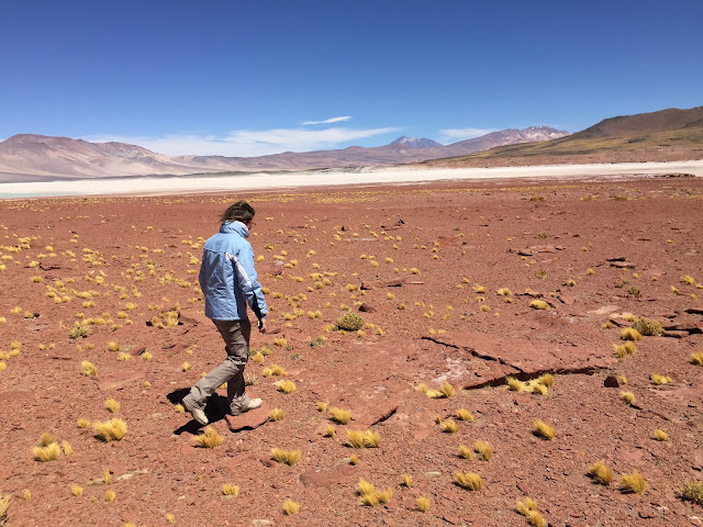 Piedras Rojas Atacama