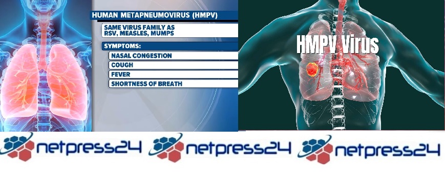 hmpv virus