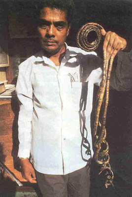 Guinness World Records longest fingernails Lee Redmond Shridhar Chillal