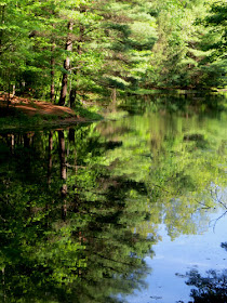 Carelton Creek pond