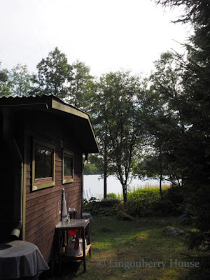 lingonberryhouse, summer cottage, kesämökki, luonto, nature