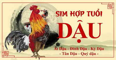 sim phong thủy hợp tuổi Dậu