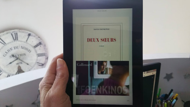 Deux soeurs David Foenkinos avis chronique happybook livres addict 