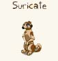 Suricate