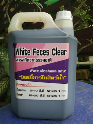 White Feces Clear