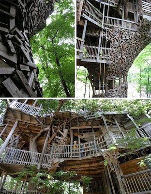 World’s Largest Tree House