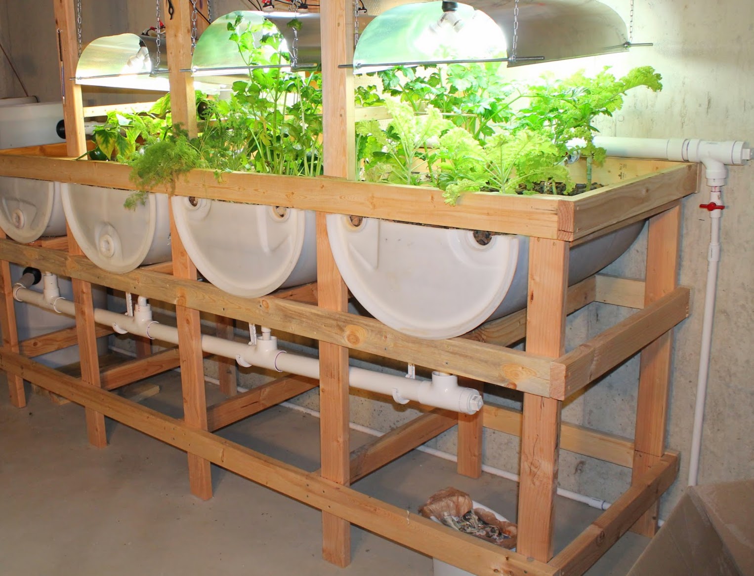 Aquaponic Indoor Garden - Garden Ftempo