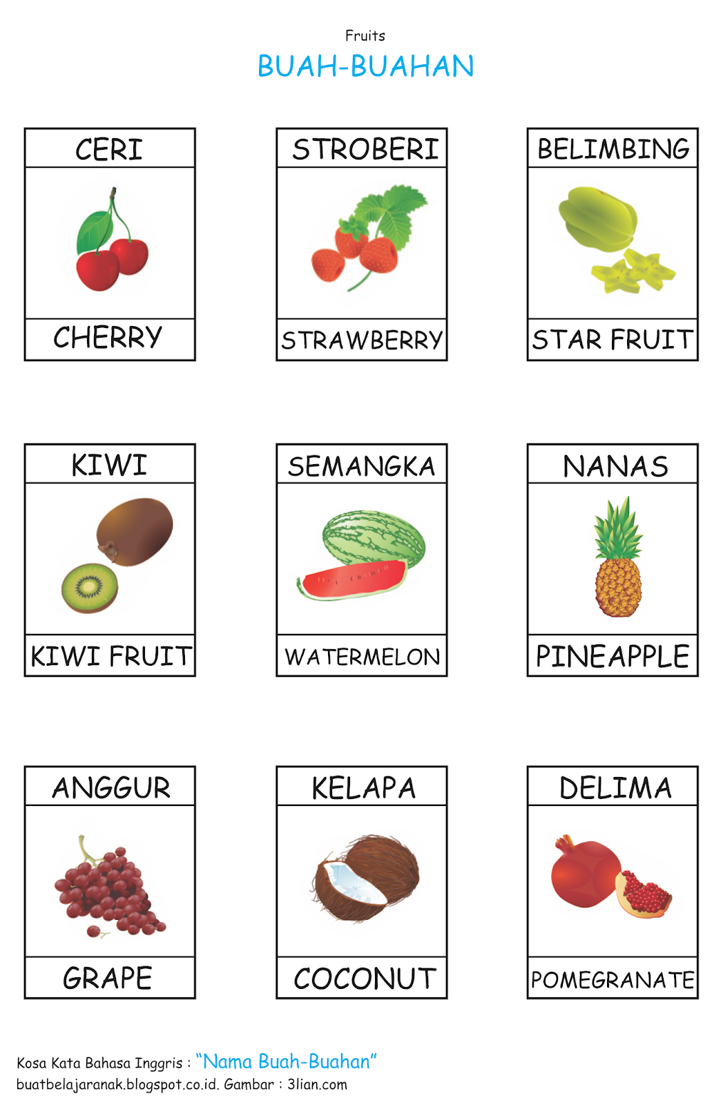 Kosa Kata Nama Buah  buahan Dalam Bahasa inggris Buat 