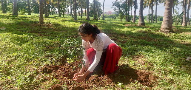 actress sai pallavi