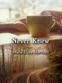Never Knew (Maria Elena Martinez)