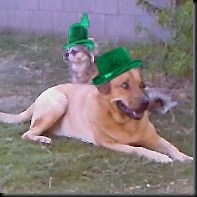 st_pat_together