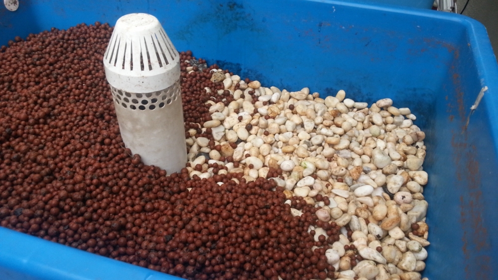 Affnan's Aquaponics: Hydroton Growbed Redo