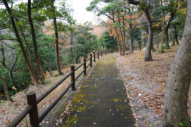 鳥取県西伯郡大山町富岡 むきばんだ史跡公園 弥生の森 遊歩道