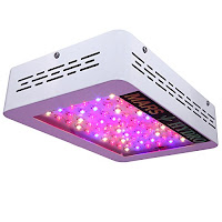 MarsHydro 300 and MarsHydro 600 LED Grow Lights