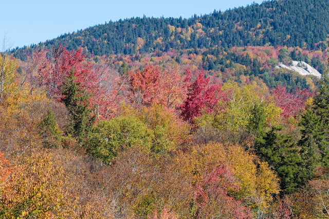 Foliage-Kancamagus Hwy e White mountains