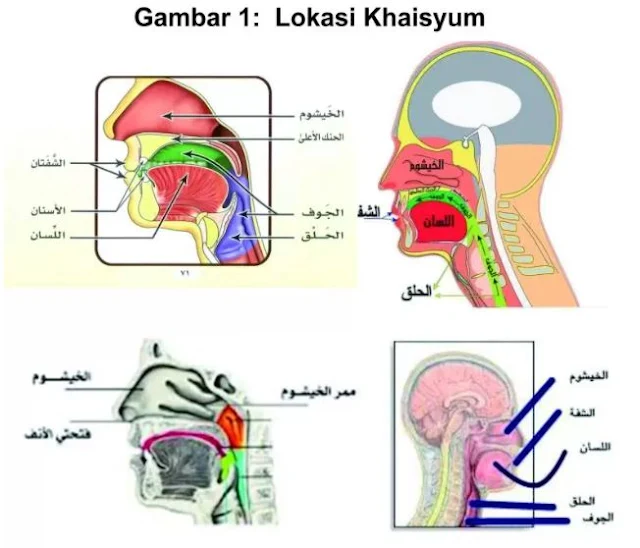 Tes Swab Apakah Membatalkan Puasa?