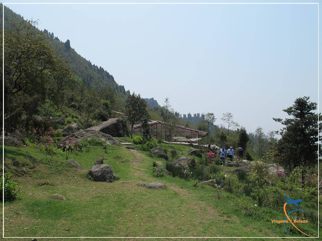 Plant Conservatory Bulbuley em Sikkim