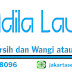 Adila Laundry - Jasa laundry di jakarta utara