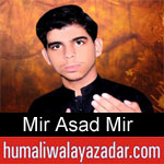 https://humaliwalaazadar.blogspot.com/2019/09/mir-asad-mir-nohay-2020.html