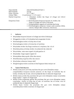   perbedaan prokariotik dan eukariotik, perbedaan sel prokariotik dan eukariotik pdf, dasar perbedaan antara sel prokariotik dengan sel eukariotik, contoh sel prokariotik dan eukariotik, perbedaan sel prokariotik dan eukariotik brainly, tempat terdapatnya sel prokariotik dan eukariotik, jelaskan perbedaan sel prokariotik dan eukariotik, persamaan sel prokariotik dan eukariotik, gambar sel prokariotik dan eukariotik