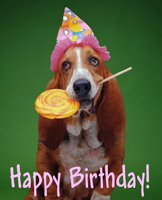 a basset hound wearing a party hat and holding an allday sucker in his mouth