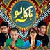 Watch Halka Na Lo- 15 February 2014 Coming Soon On Hum Tv